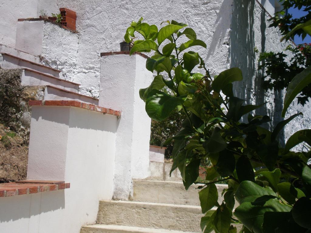 Apartamentos Rurales El Canuelo De Каркабуэй Номер фото